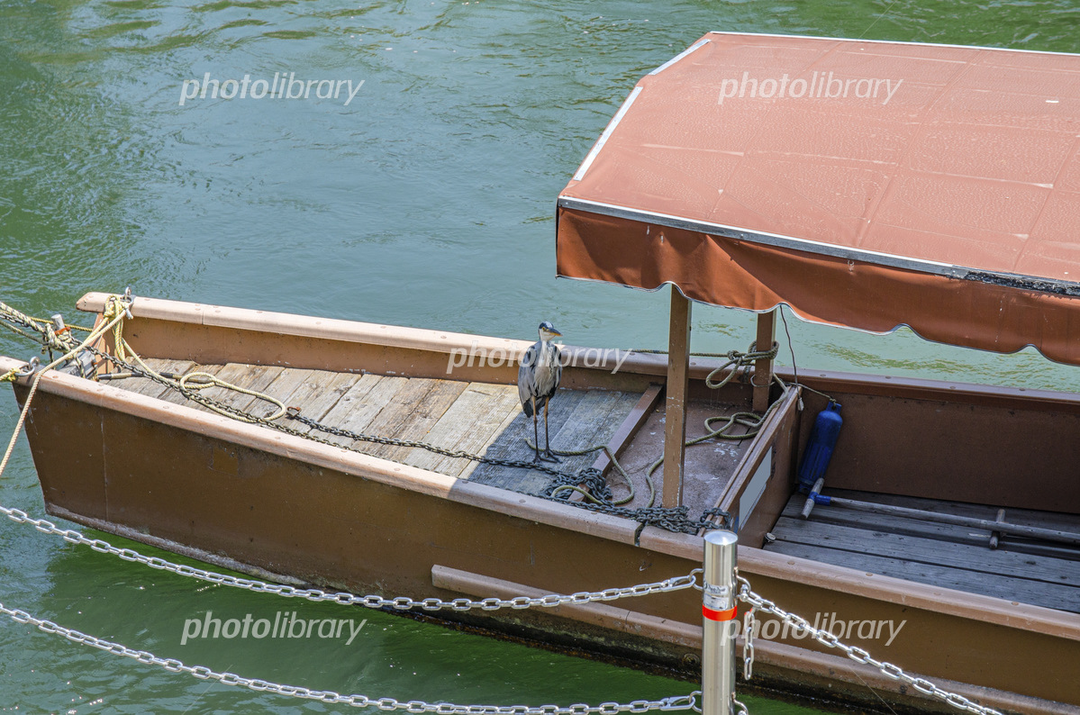 宇治川派流・濠川遊覧 アーカイブ -