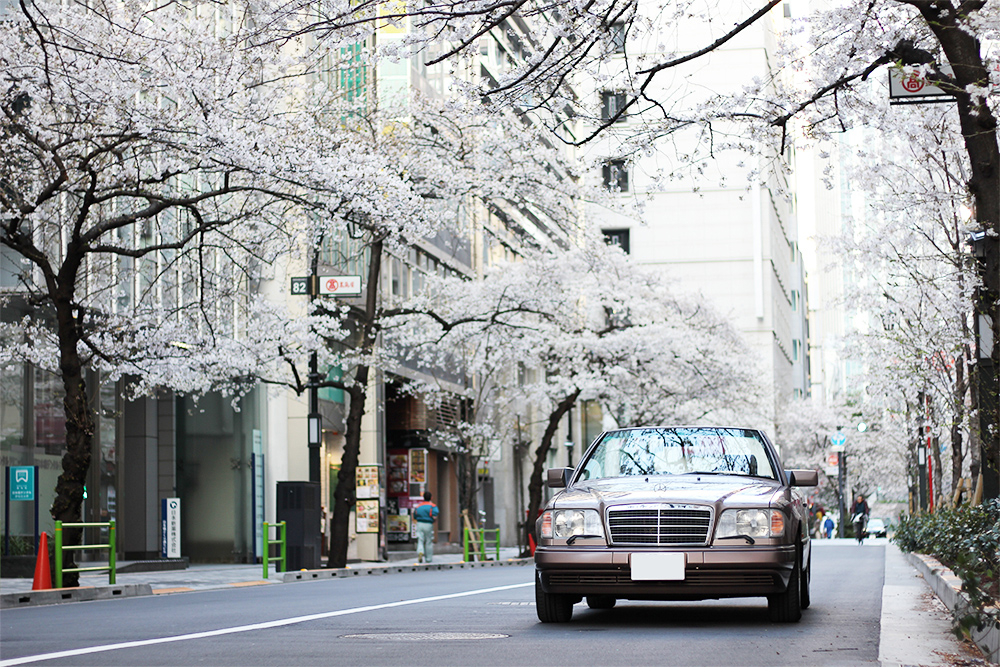 関東で日帰りお花見ドライブ！おすすめスポット＆周辺の観光名所16選いこーよとりっぷ