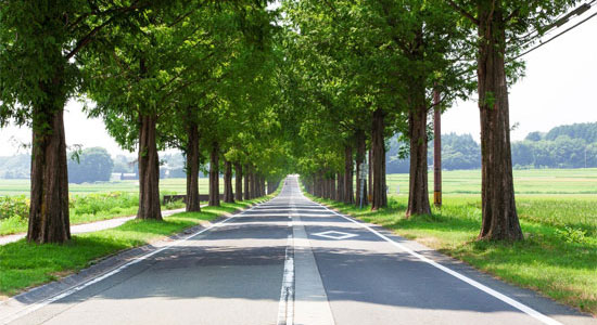 難易度別 一人でふらっと気分転換。関西の日帰りおすすめ一人旅スポット12選NAVITIME Travel