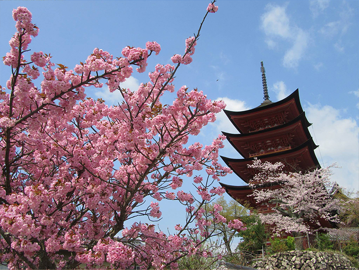 秋に観光に来られる方へ！宮島 秋に訪れたい千畳閣と五重塔。 –