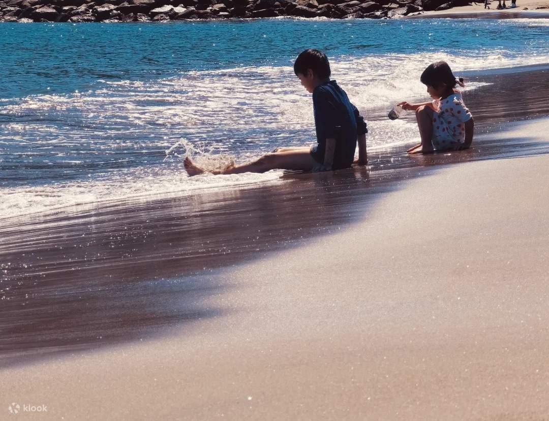 スラムダンクの聖地」の迷惑行為は解消するか 警備員を平日にも常駐へ 鎌倉市、江ノ電の踏切：東京新聞デジタル