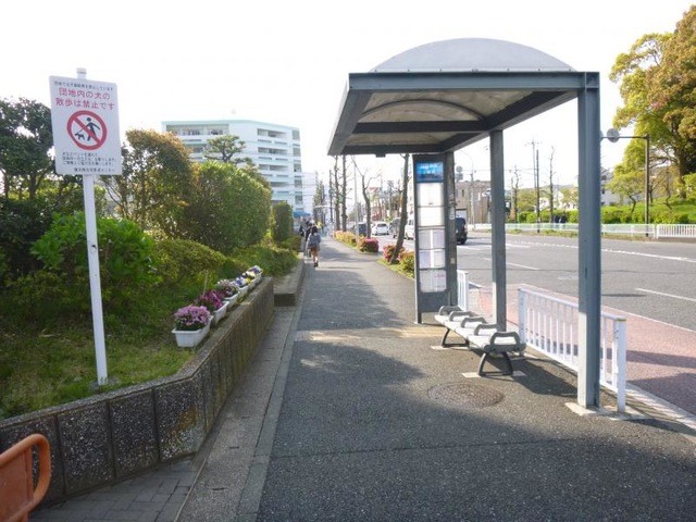 牛久保公園」は緑豊かなジョギングに最適な公園おでかけインフォ