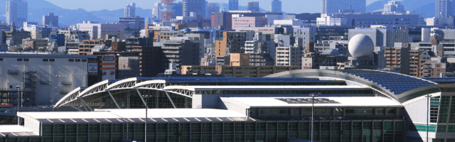 博多港国際ターミナル Advectionfog