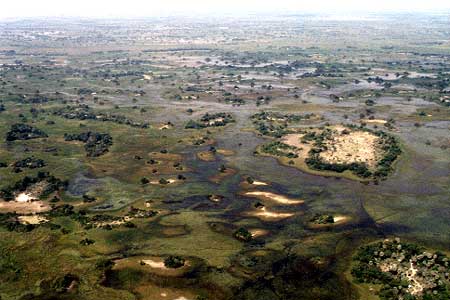 世界遺産 オカバンゴ・デルタは、どこの国にあるの？ツアーや行き方もご紹介