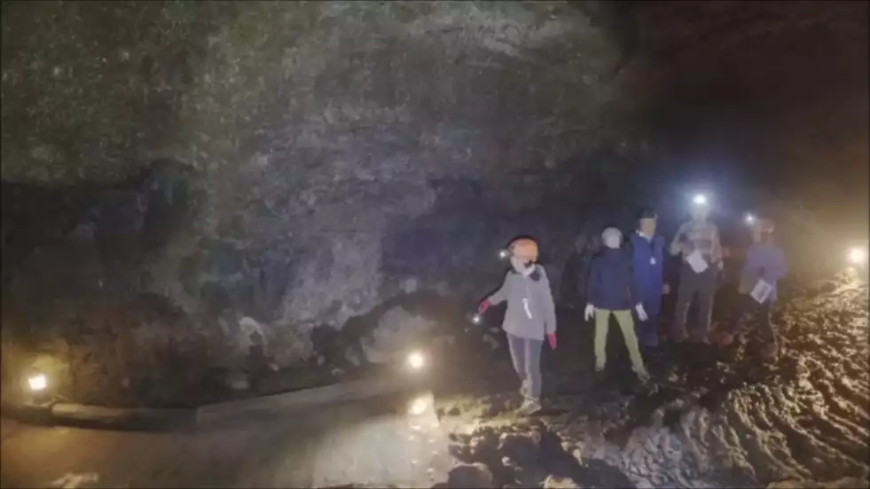 西湖蝙蝠穴子供とお出かけ情報「いこーよ」