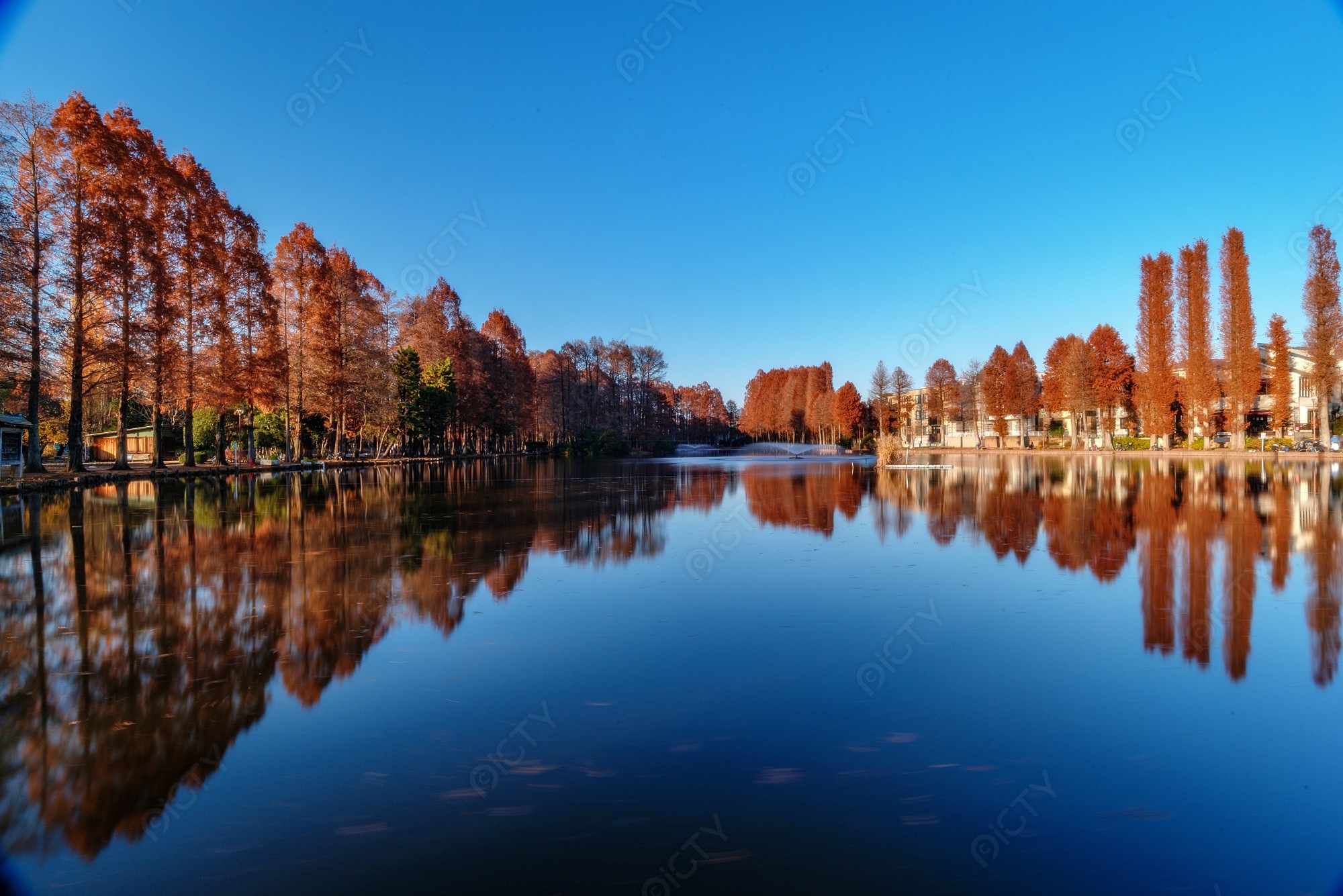 越谷の撮影スポットならここ！ カメラ片手に埼玉県立大学へiro-iro