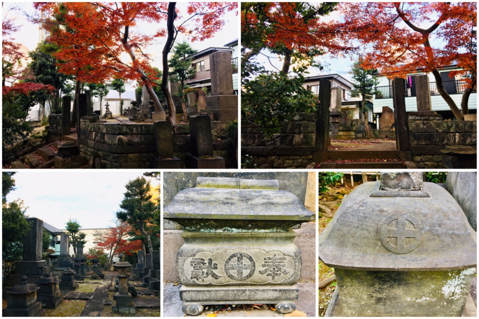 東京 青山通り2春暁堂日記