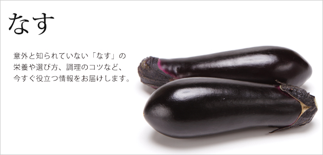 なすび様 リクエスト 2点 まとめ商品 なすナス様