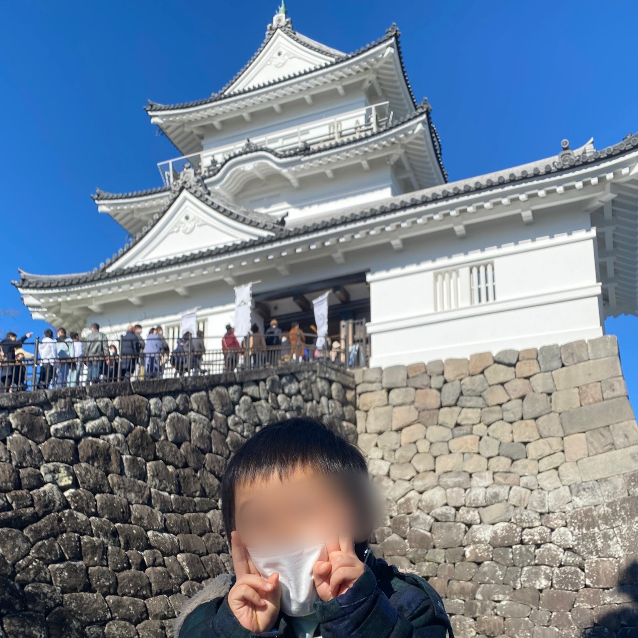 小田原・箱根を日帰り観光 2つの城から学ぶ歴史旅旅行プランは旅色で