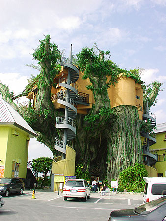 那覇名物、目印は巨大ガジュマル「食」のテーマ館！ 一度は行きたいバンヤンタウン那覇の観光・旅行All About