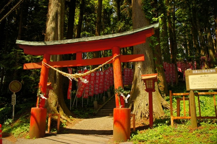 栃木県 穴場な観光地を半日・日帰り暇つぶしドライブ 。絶景自然おすすめ旅行スポット