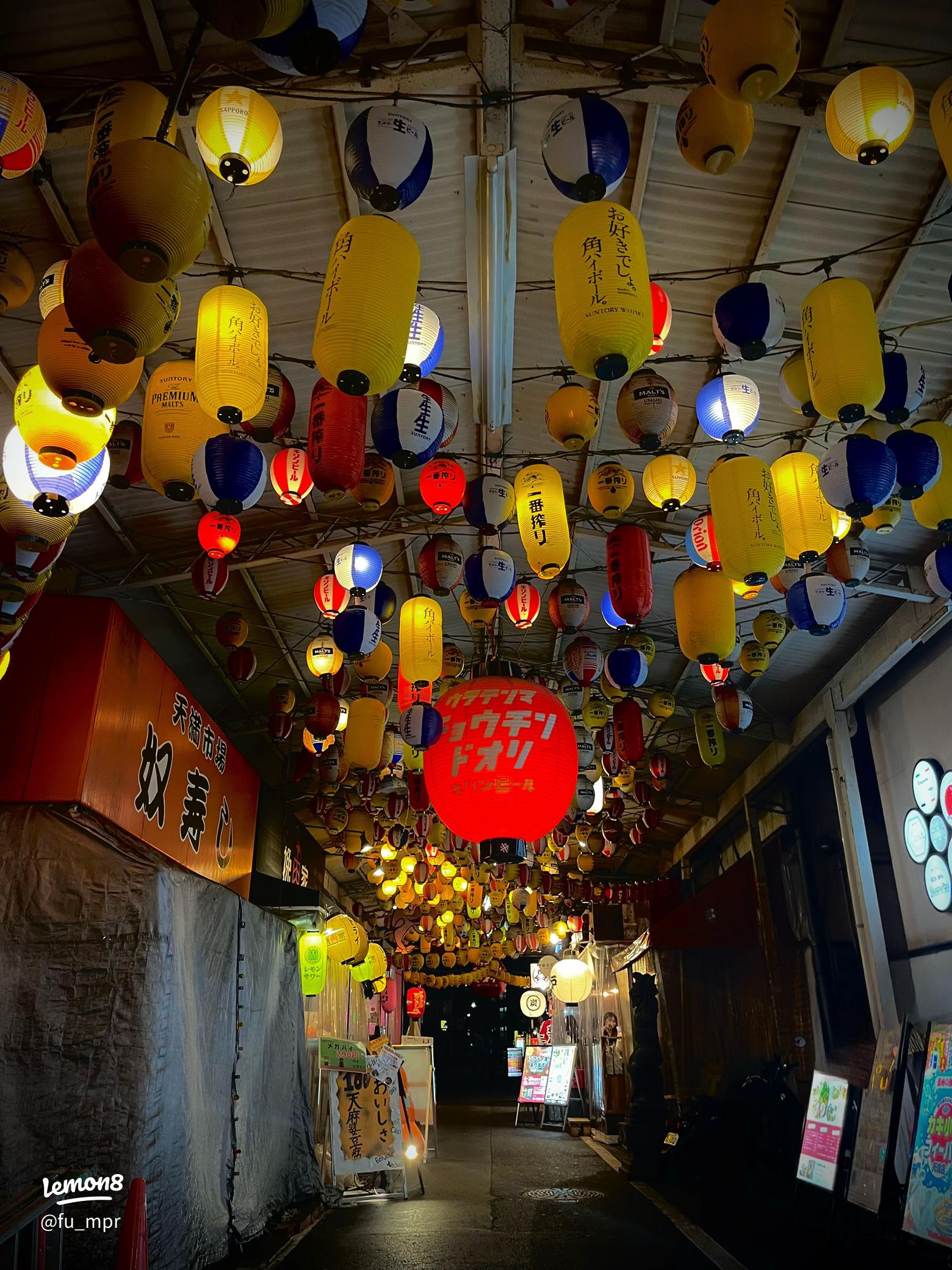 インスタ映え抜群の飲み屋街「裏天満ちょうちん通り」一面のちょうちんを撮りに行こうニシタビ