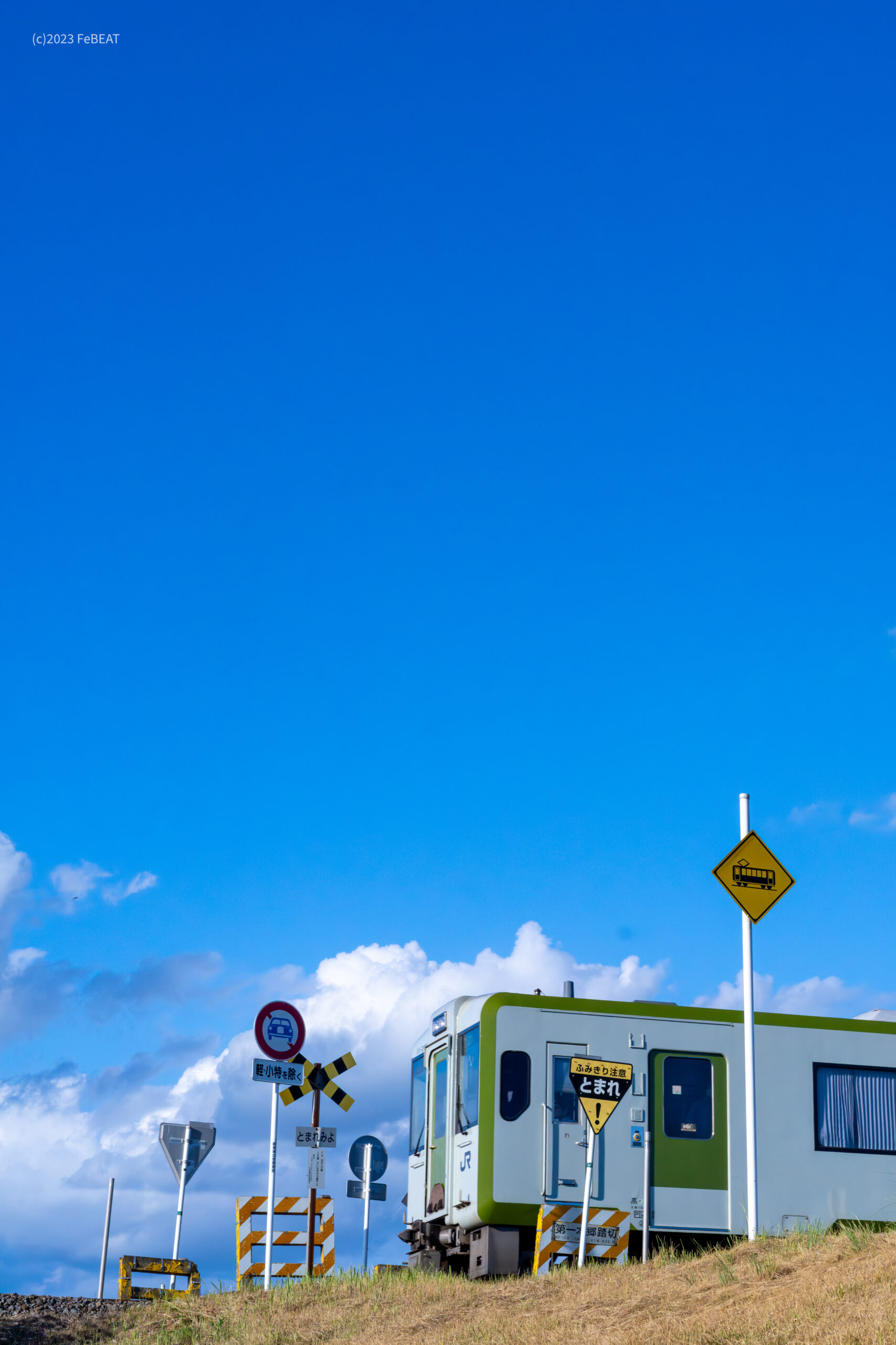 X 旧Twitter で話題のおもしろ画像や動画 -