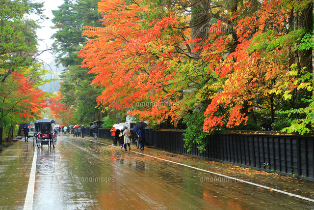 角館の武家屋敷で人力車に乗りました』角館 秋田県 の旅行記・ブログ