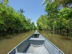 ディズニーランド ジャングルクルーズ ポスター 海外購入 Amazon.co.jp: