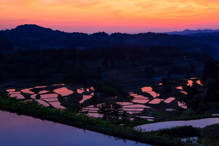 2025年 星峠の棚田 -