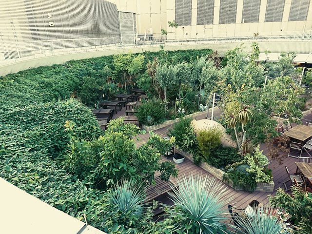 神戸おすすめレジャー9選！大人も子連れも楽しめる人気スポット・遊びを紹介アクティビティジャパン