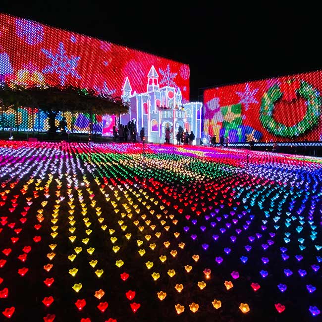 栃木・あしかがフラワーパークでクリスマスイルミ満喫の女子旅旅行プランは旅色で