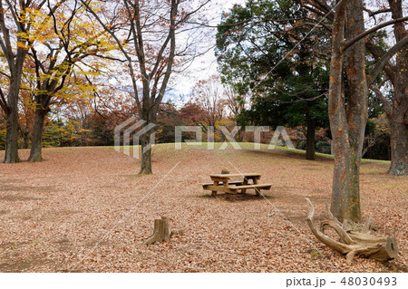 フリー素材写真代々木公園15