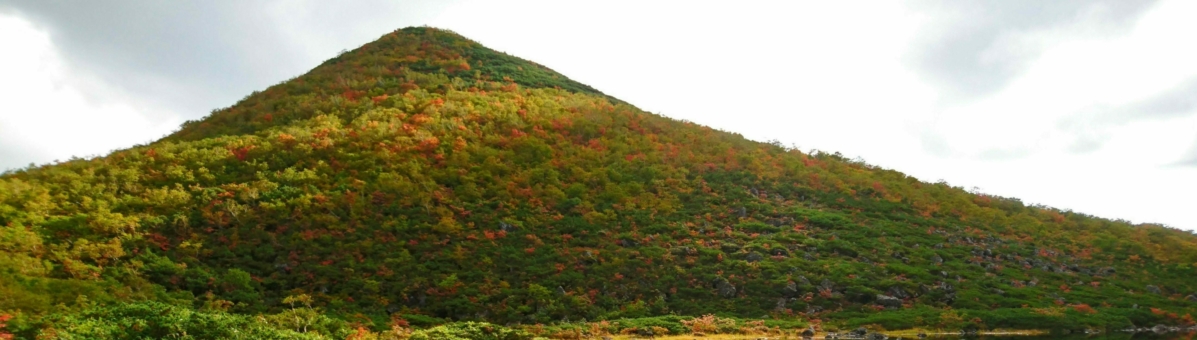 ≪スノーシューツアー≫ ニセコの冬体験！！真っ白な雪と静寂の森を歩いて半月湖へ♪ アドベンチャースマイル - じゃらん遊び体験