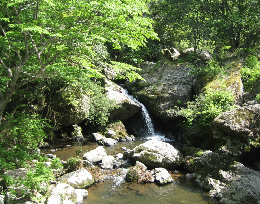 本日オープン！「ASOBIYUKU 京都るり渓温泉」がリニューアル