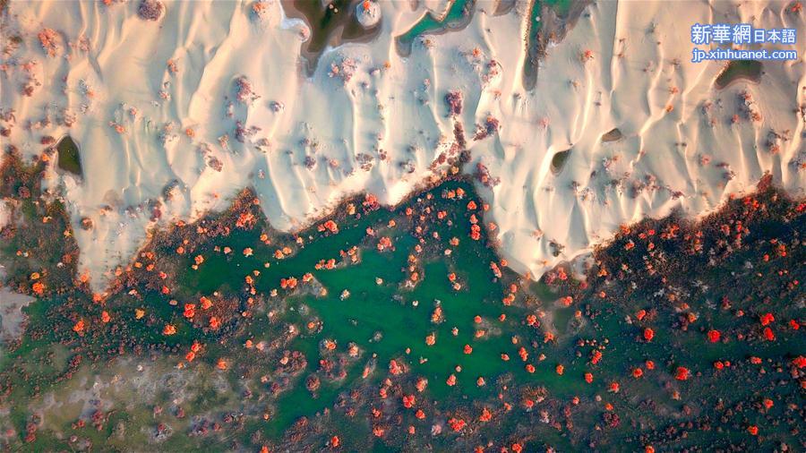 2004『星の巡礼 シルクロード踏破16000㎞日記』③＜ウルムチ 烏魯木齊