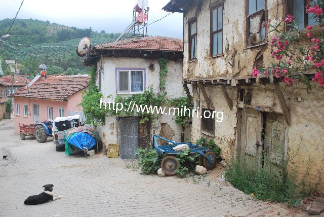 お部屋にオリエンタルな彩りを。世界に1つだけのトルコランプを作ろうるるぶ&more