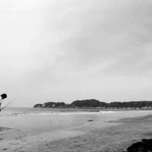 走水観音崎遊歩道 走水観音崎ボードウォーク 体験・観光スポット公式