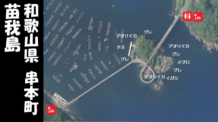 観光・レジャー・くしもと大橋と巡航船