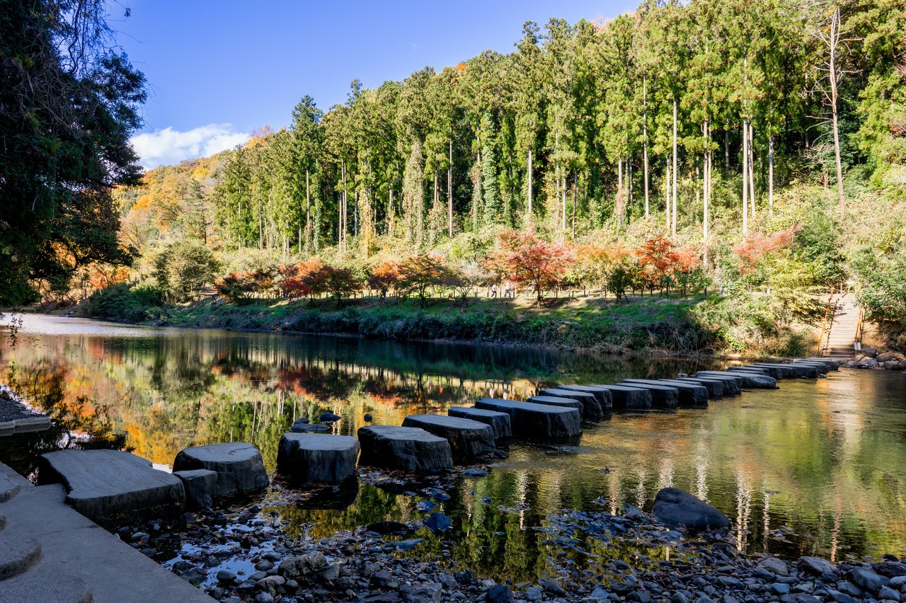 3号地公益財団法人さいたま緑のトラスト協会