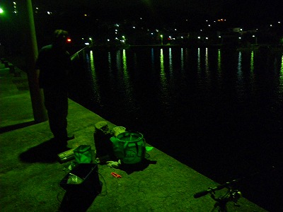 釣場調査 田ノ浦・雑賀崎 - 株式会社つり具のマルニシ