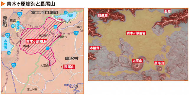 青木ヶ原樹海散歩 ～Ｎさんの休日 – リアルサポート