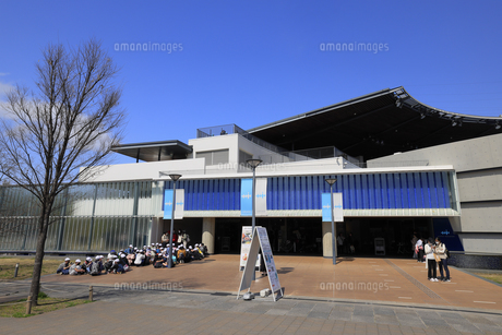 梅小路公園・梅の撮影スポット - かわいい京都