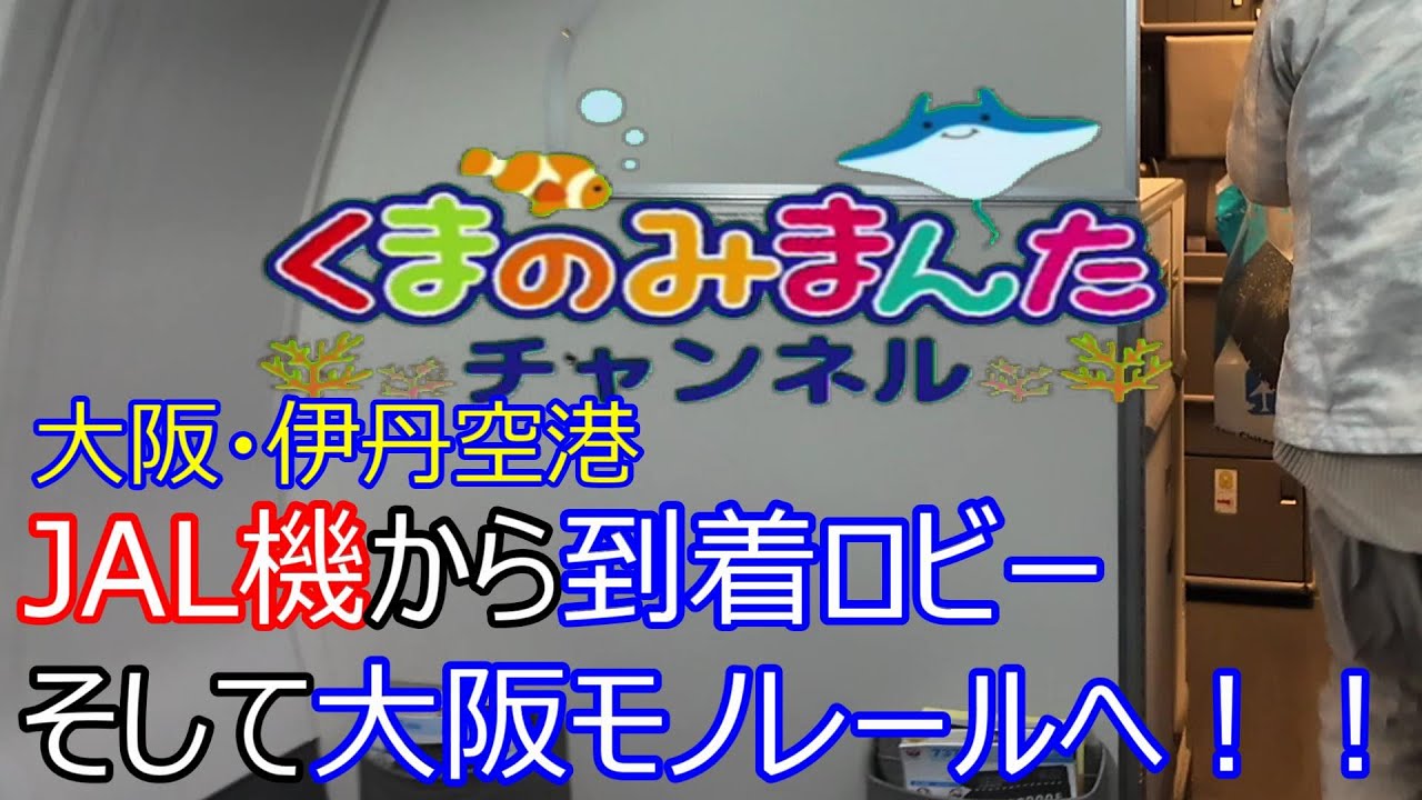 到着ロビー 伊丹空港 大阪空港 大阪国際空港の写真素材