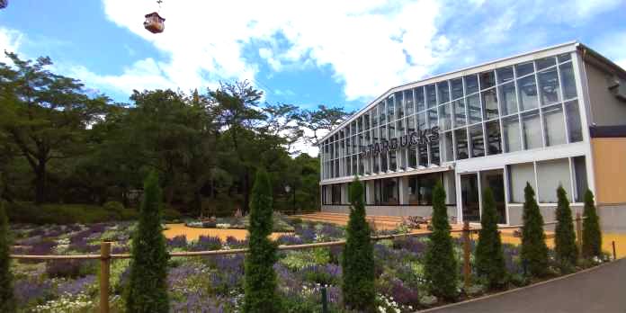 群れない女子はかっこいい。一人旅でいきたい関東近辺の旅行先7選RETRIP リトリップ