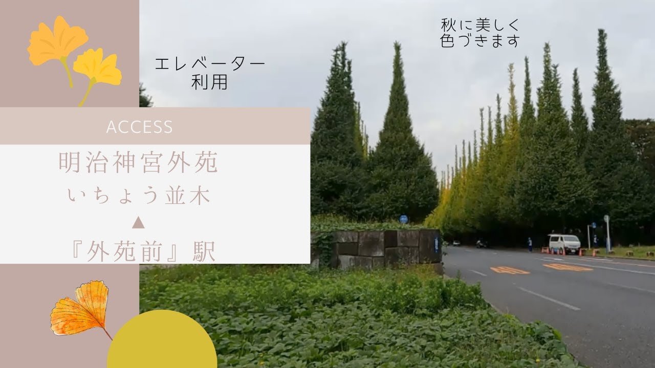 東京の紅葉名所「神宮外苑いちょう並木」一緒に立ち寄りたい周辺のおすすめグルメ │ ヒトサラマガジン