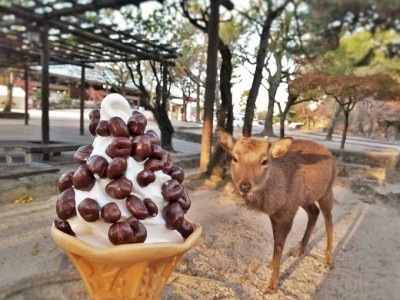 2023最新 宮島のおすすめ食べ歩きグルメ25選！観光名物やスイーツを紹介