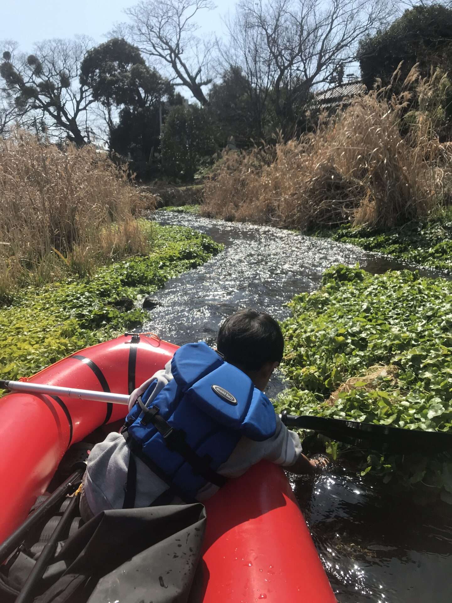 ボート遊び！滝や渓谷を船から眺める高千穂峡の定番観光360@旅行ナビ