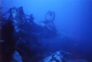 トラック ﾁｭｰｸ 諸島で潜ってきました - バモス