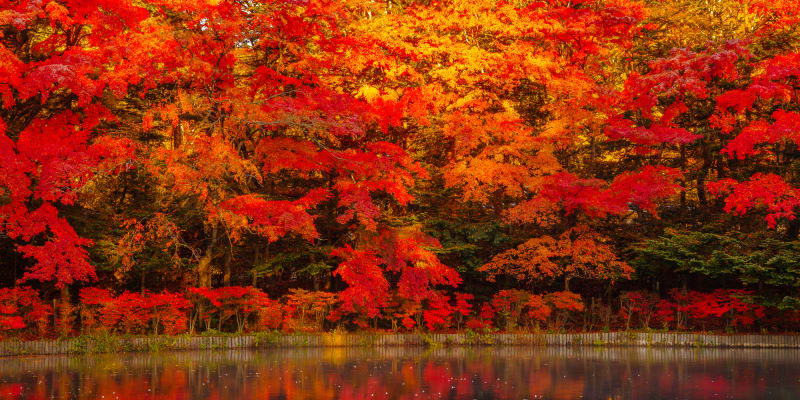 お盆休みの軽井沢旅行。軽井沢駅周辺道路混雑状況について精通して- Yahoo!知恵袋