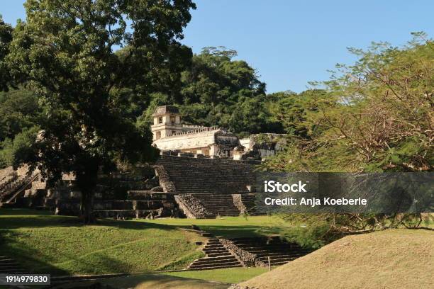 スリランカ産 ムーンストーン 直径16mm 丸玉