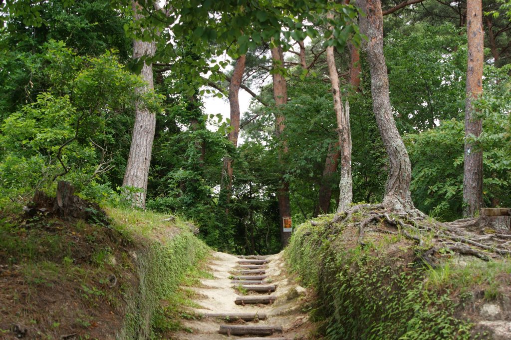 バイク旅 東北宮城県の美しい島や海岸ルートを巡る絶景ツーリング。地元のグルメやおしゃれカフェも満喫しました。穴場スポットもこっそり教えます。 HondaGold Wing