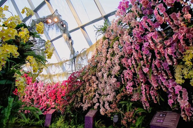 楽天 ガーデンズバイザベイ Eチケット 予約＜シンガポール 植物園>