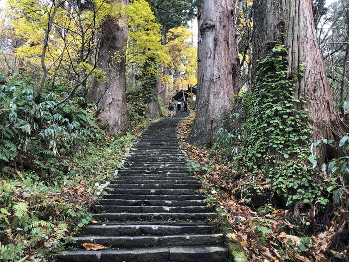 庄内おでかけレポ 羽黒山石段のぼり 鶴岡市羽黒町