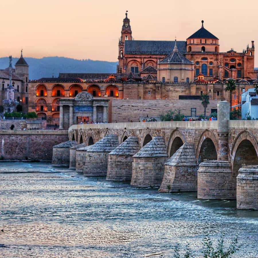 コルドバ で 2月 の天気予報 2025