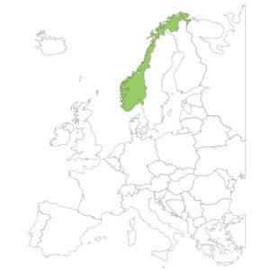 ノルウェー国旗の由来・意味や特徴をイラスト解説