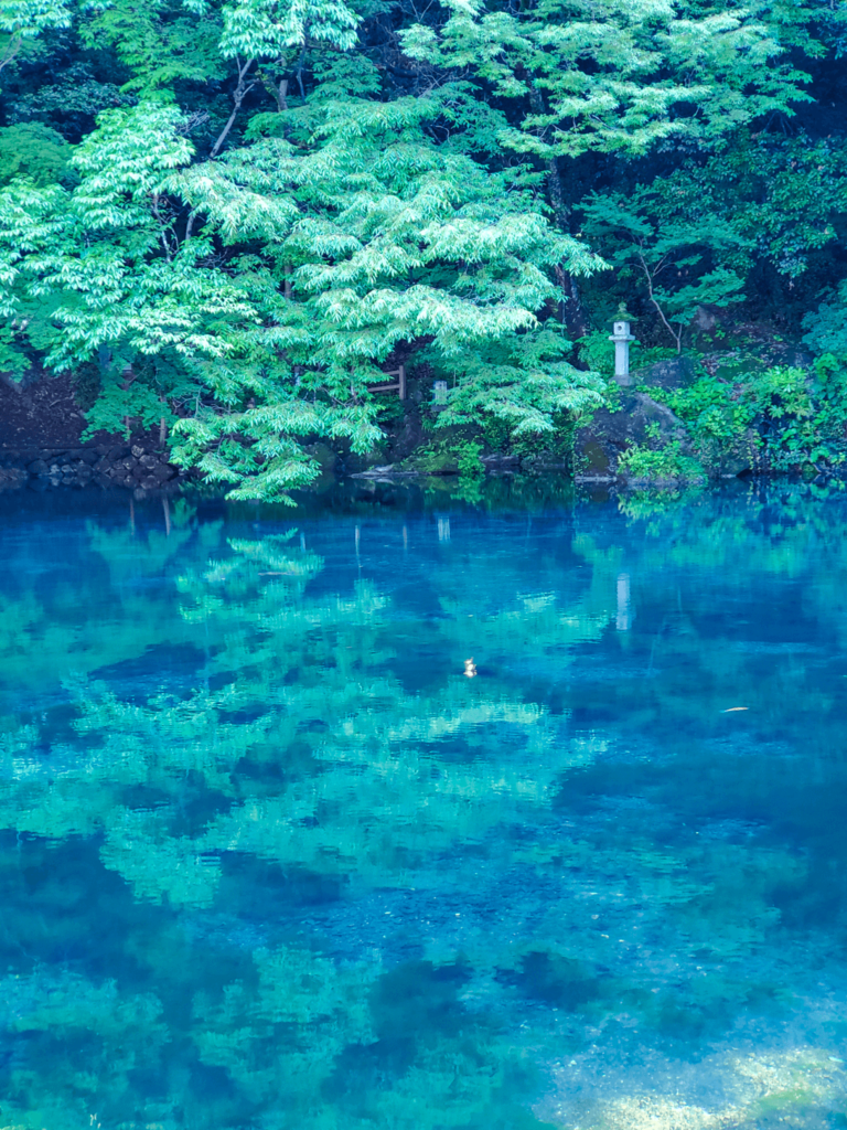 日帰りでも大満足 東京から約2時間！栃木・日光のおすすめ観光地12選 世界遺産・絶景スポット・温泉・グルメタビックスナビ