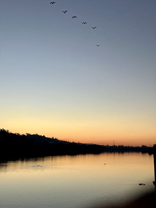 日本語ガイド付き！初めてのタスマニア満喫3泊4日ツアーJAMS.TV オーストラリア生活情報ウェブサイト