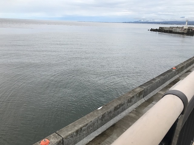 水橋漁港 水橋フィッシャリーナ の釣り場ポイント情報と釣果！ 釣り広場.com