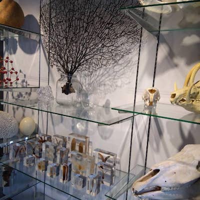 ウサギノネドコ 京都店 クチコミ・アクセス・周辺情報二条・烏丸・河原町